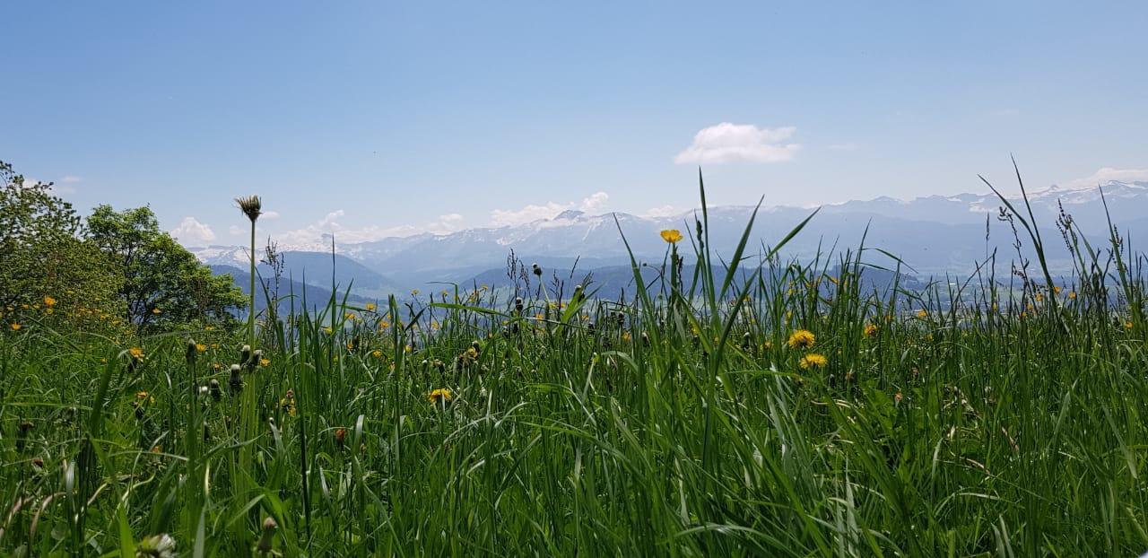 Hubertushof Hotel Garni Oberstaufen Dış mekan fotoğraf